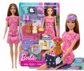 Barbie Puppy Slumber Party Colour Change Playset