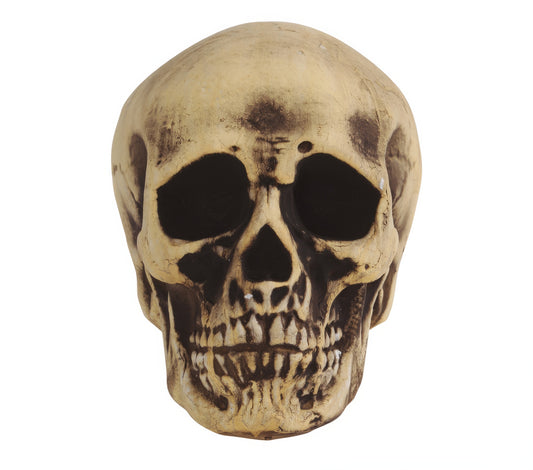 FOAM SKULL 22 CMS