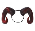 RAM HORNS (18747)