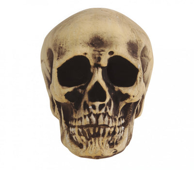 FOAM SKULL 22 CMS (26276)