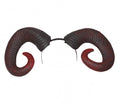 RAM HORNS (18747)