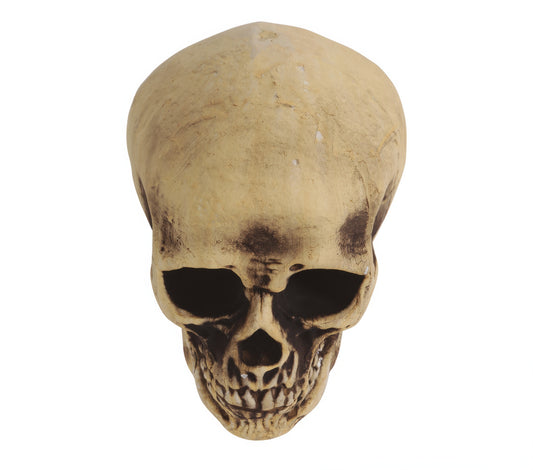 FOAM SKULL 22 CMS