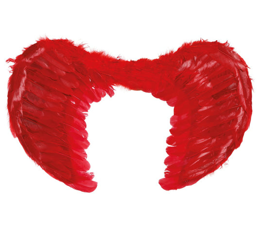 RED FEATHER WINGS, 50X40 CM