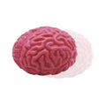 Brain Stress Ball Fidget (1 Pcs)