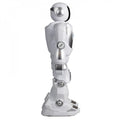 Silverlit Silverlit Programme-A-Bot X