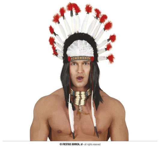 INDIAN FEATHERS PLUME